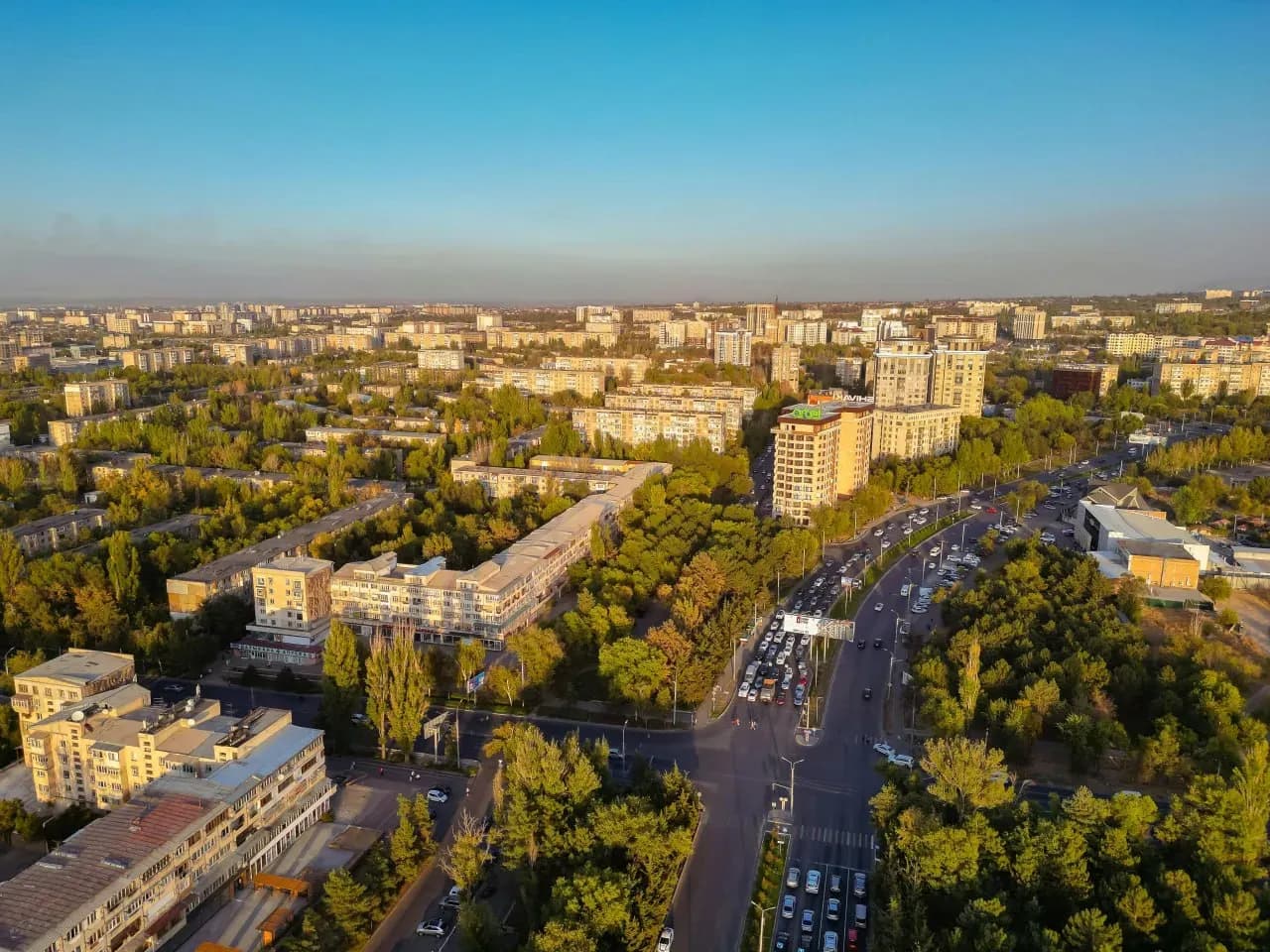 Панорама зелёного Ташкента с широкими улицами, деревьями и современной городской застройкой.