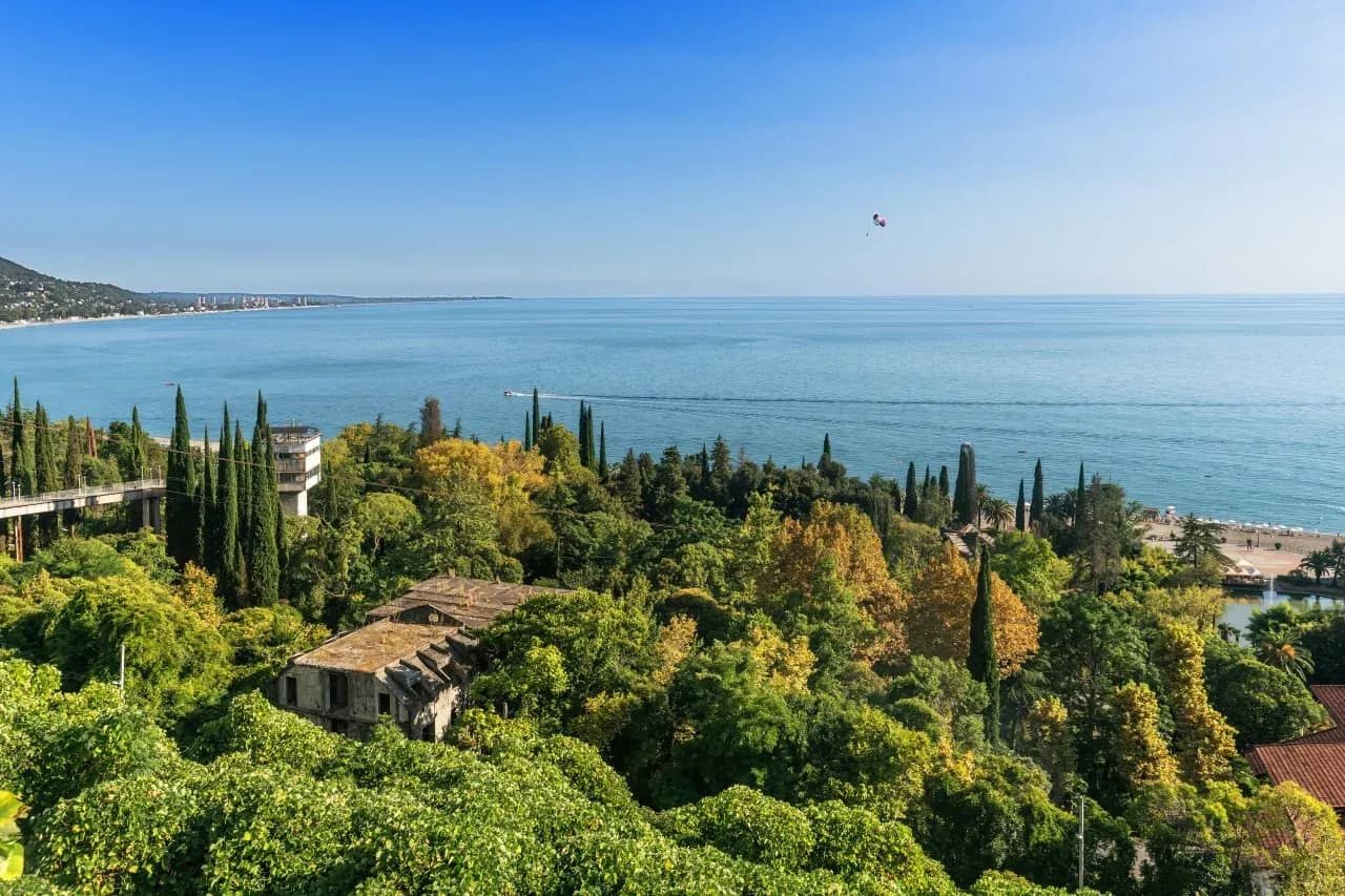 Зелёные склоны Сочи с пальмами, кипарисами и видом на Чёрное море.