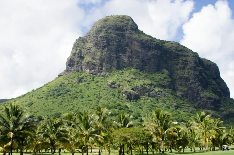 Гора Ле-Морн на Маврикии с пальмами, зелёным подножием и драматичным горным пейзажем юго-запада.