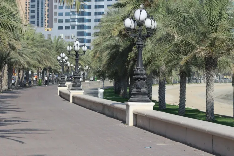 Променад JBR в Дубае с пальмами, фонарями, пляжем и прогулочной зоной у моря.